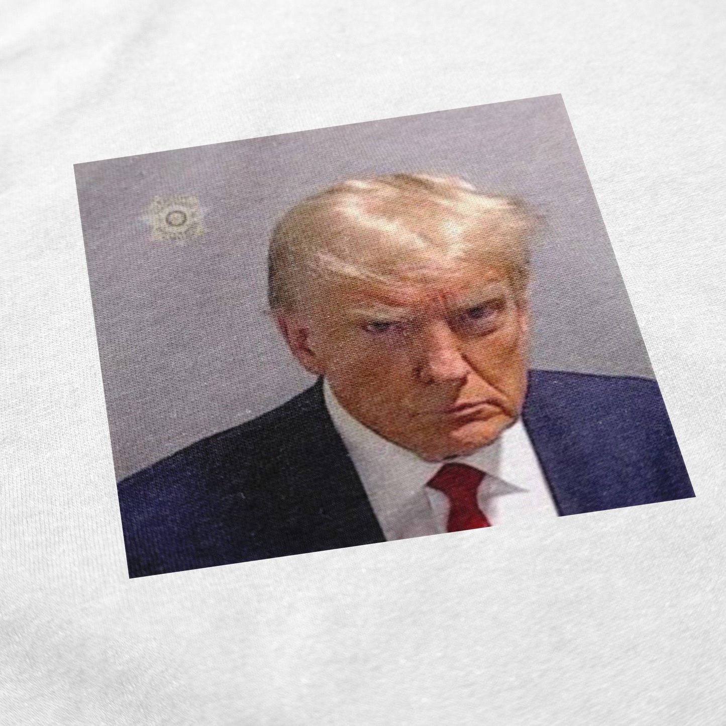 Trump Mugshot T Shirt - Shitheadsteve