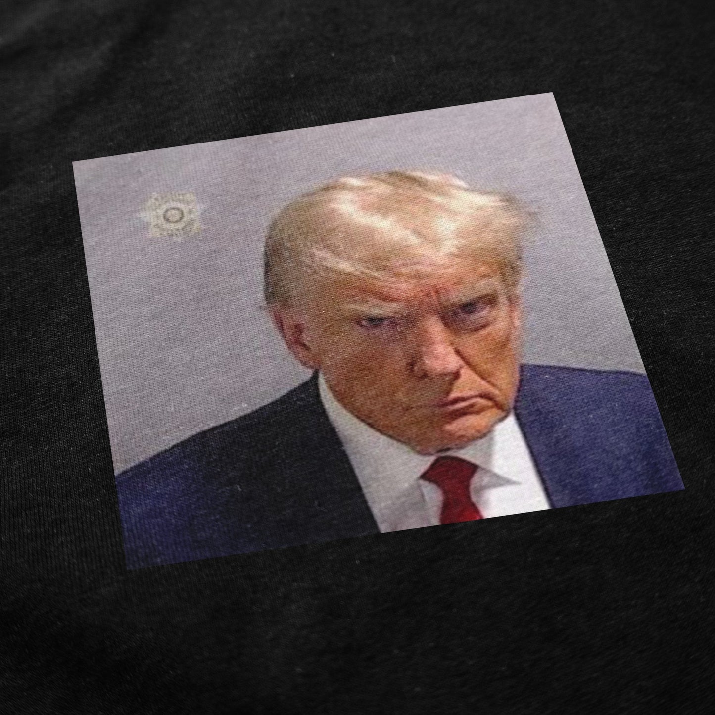 Trump Mugshot T Shirt - Shitheadsteve