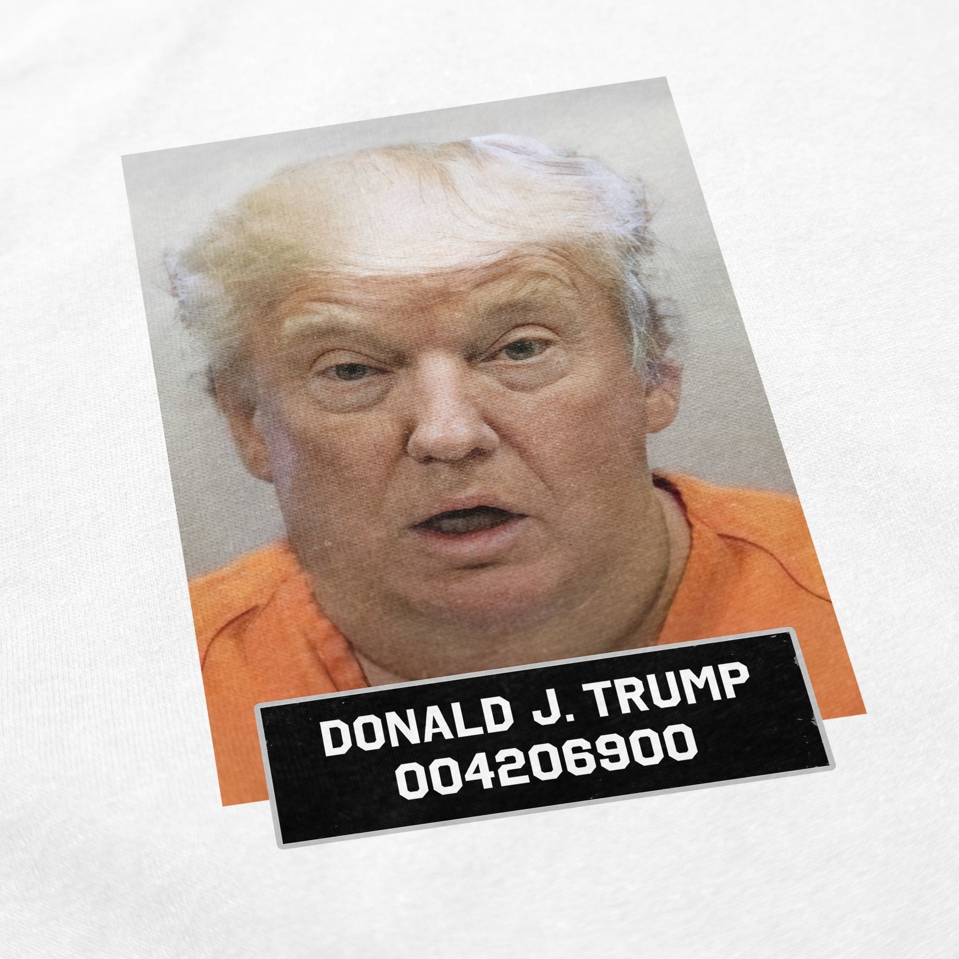 Trump Mugshot T Shirt - Shitheadsteve